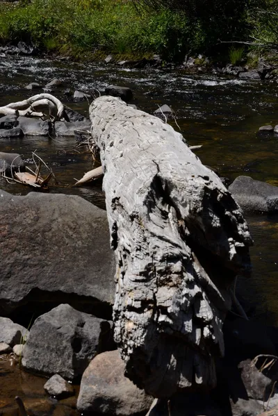 DSC_3622 (Large).JPG